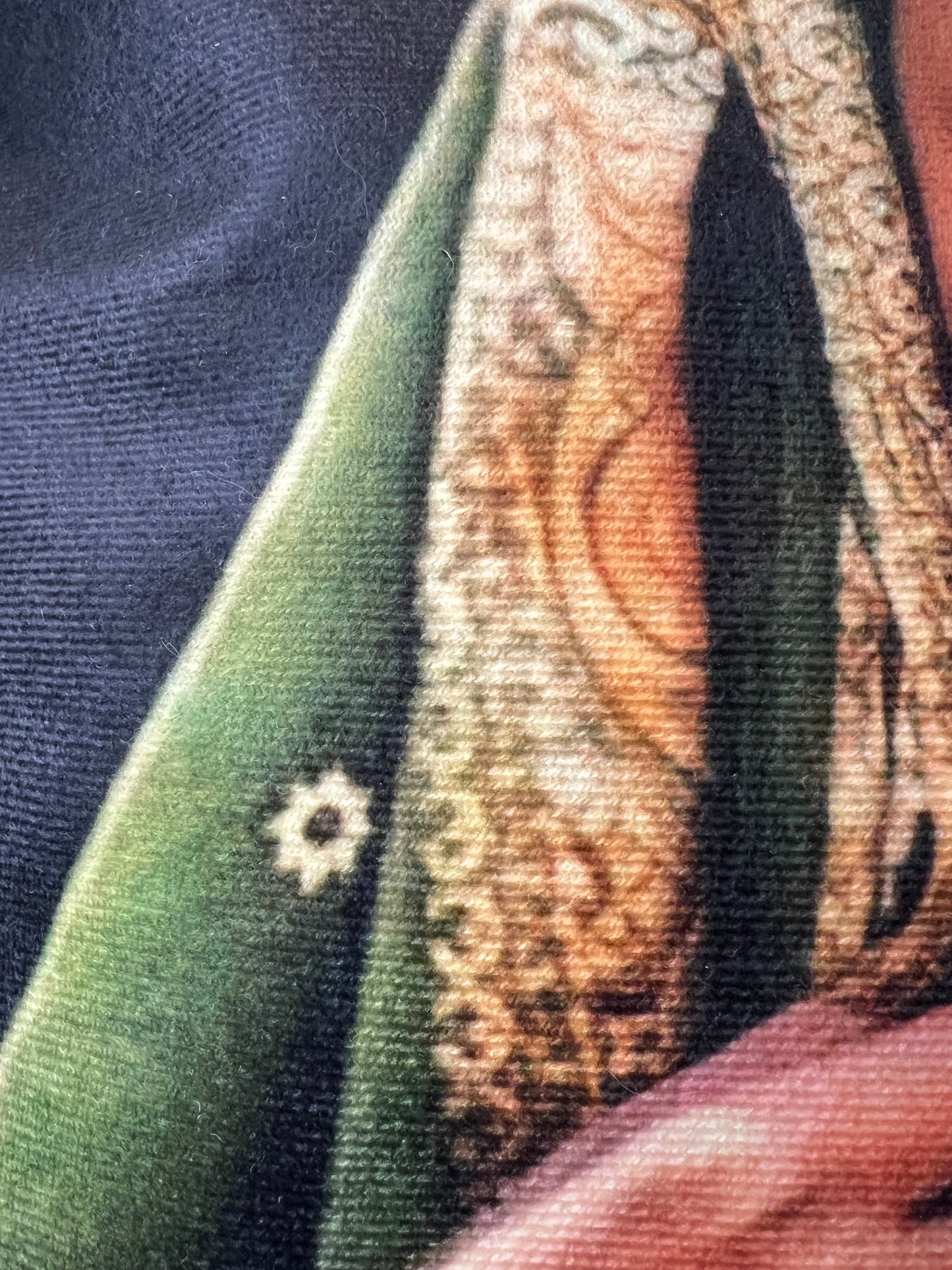 Coussin  « Femme au Sari Vert  »